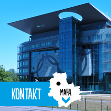 Kontakt